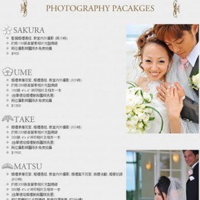 Watabe Wedding Website in Chinese